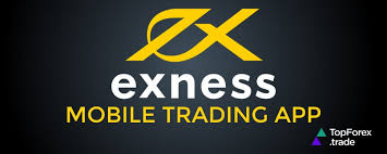 Exploring the Advantages of Exness Forex Broker
